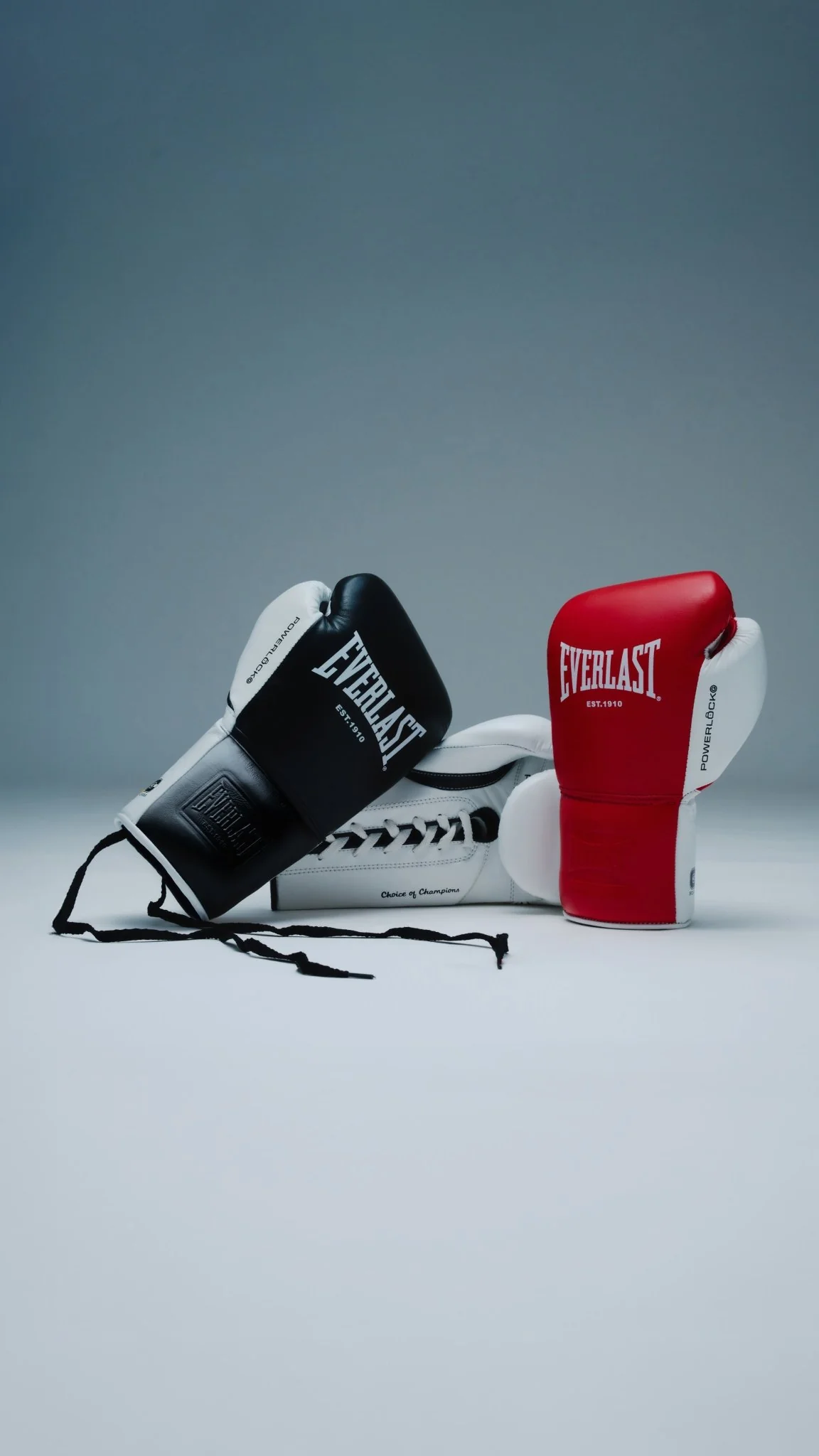 ELITE ROUND PUNCH SHIELD - Image 13