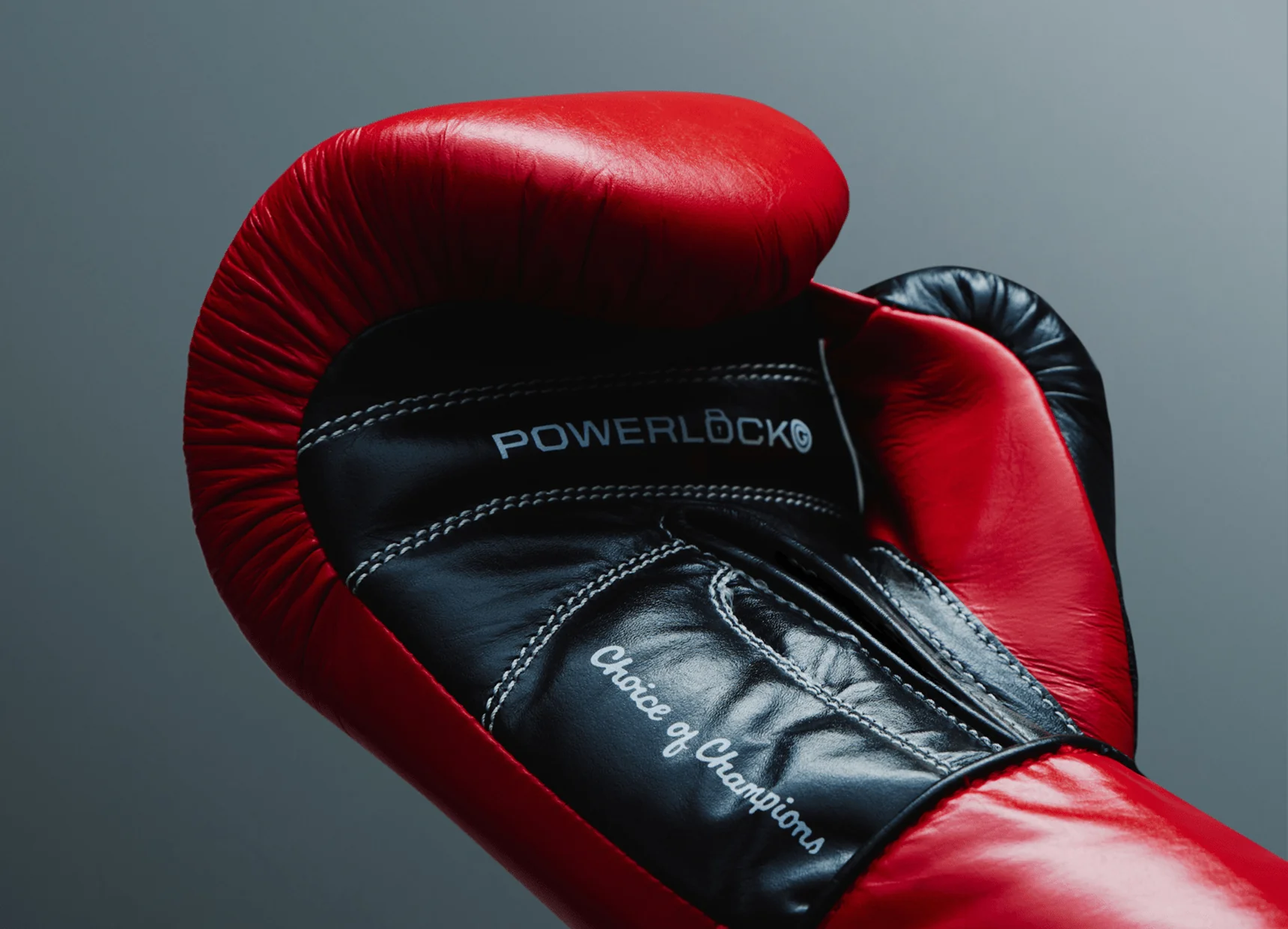 POWERLOCK OG PRO TRAINING GLOVE HOOK & LOOP - Image 8