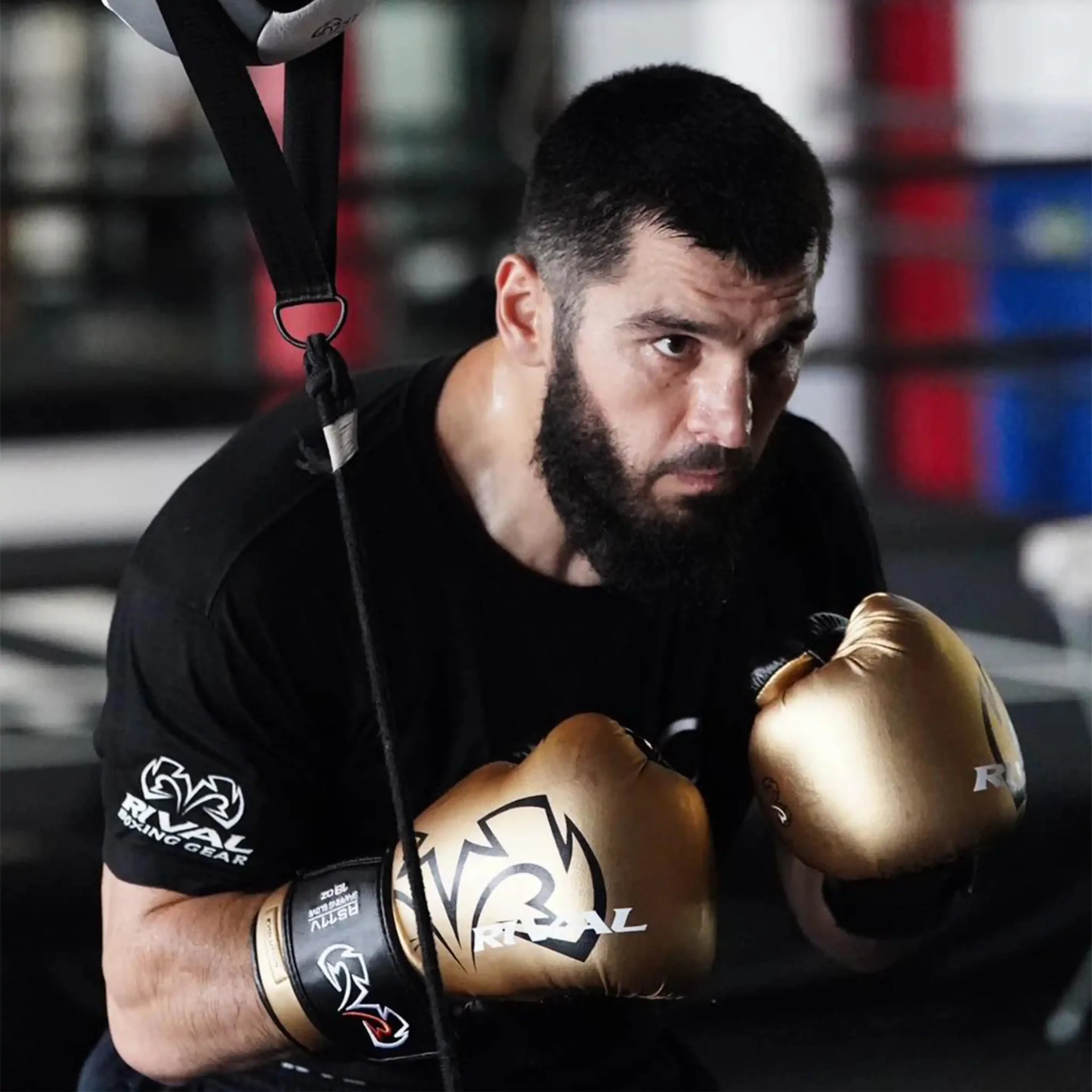Rival RS11V Evolution Sparring Gloves - Image 10